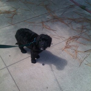 firstwalk.jpg