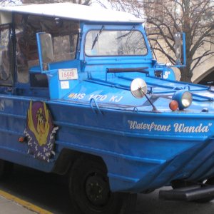 Waterfront Wanda-Duck.JPG