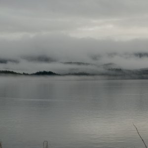 Dec-7-08-Misty-Morning.jpg