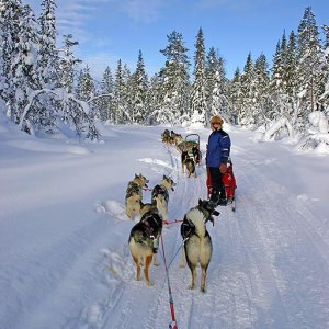 finland.jpg