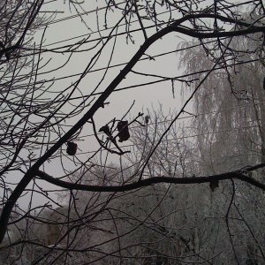 winter 005.jpg