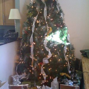 Christmas2008.jpg