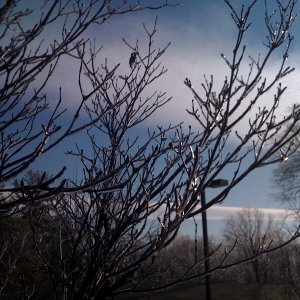 photo.jpg
