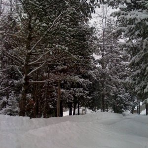 photo(3).jpg