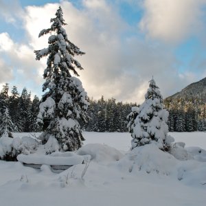 20081231_Ward-Lake-Hike_0012.jpg