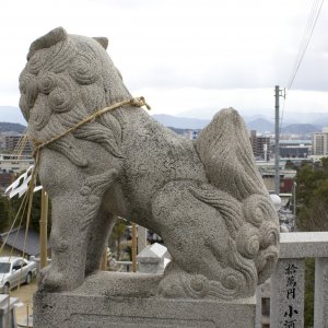guardian.jpg