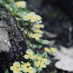 9D242F44-9ABF-4C9E-BA2B-20C8C393D1DA.jpeg