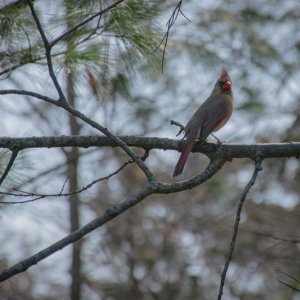 DSC_0144.jpg