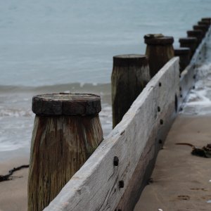 DSC_0035.jpg