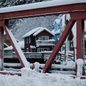 20081229_Winter-Snow-Storm_0037.jpg