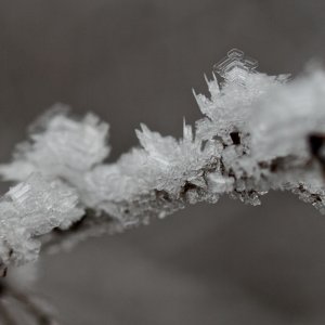 -22c.jpg