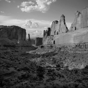 IMG_9696 copy.jpg