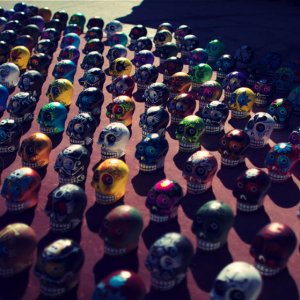 bbbbVenice-Beach-Calavera-Skulls.jpg