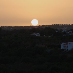 DSC_0062_1.jpg