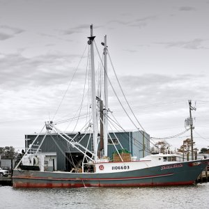 A Trawl Boat.jpg