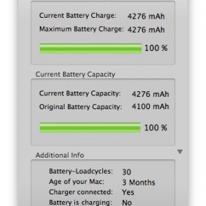 coconutBattery 2.6.3.jpg