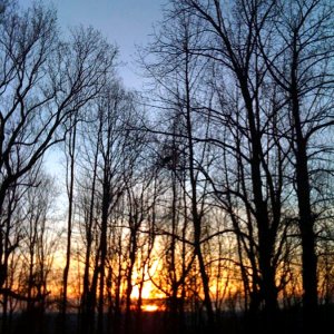 Sunset.jpg