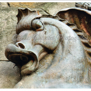 Horse w mat.png