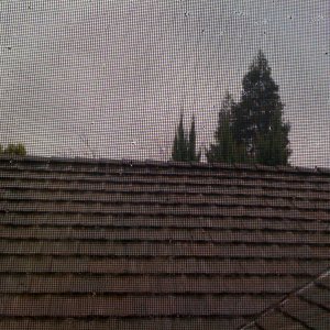 IMG_0295.JPG