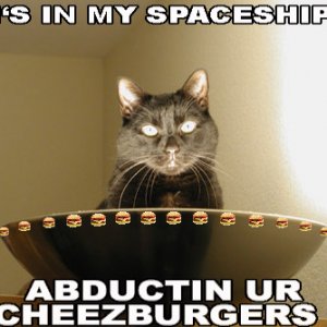 abducting-cheezburgers.jpg