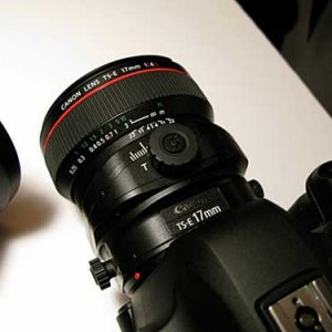 tse-17.jpg