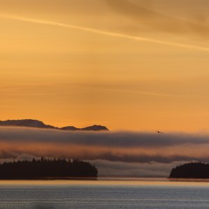 2009-02-18-b-Carroll-Point-Sunrise.jpg