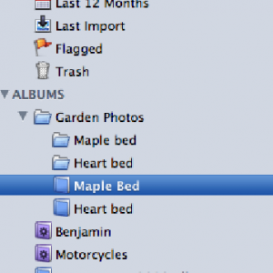 Picture 3.png