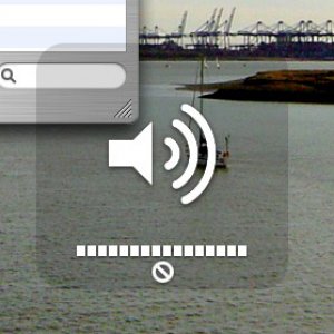 Vol.jpg