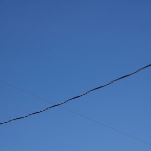2009-02-09_7.JPG