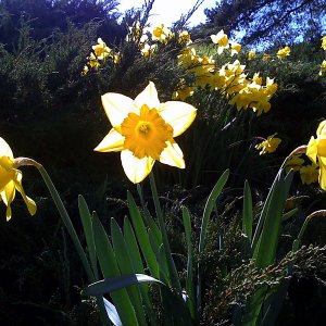 IMG_0068.jpg