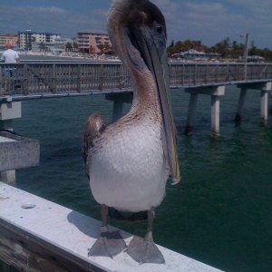 IMG_0139.jpg
