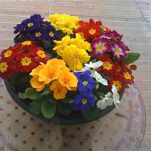 IMG_0764.JPG