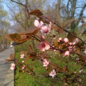 IMG_0877.JPG