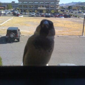 IMG_0236.JPG