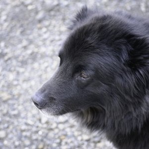 20090426_0116 as Smart Object-1.jpg