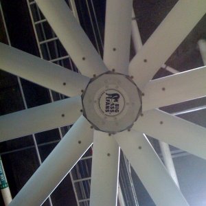 fan .jpg