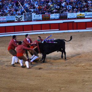 DSC_9138.jpg