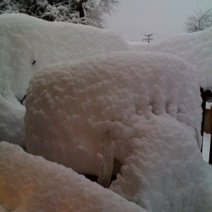 snow.jpg