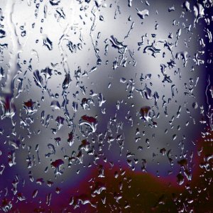 Rain all day-034.jpg