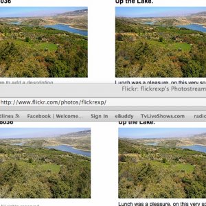 Snapshot 2009-05-08 20-30-55.jpg