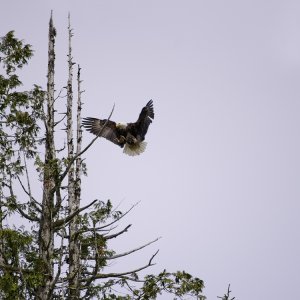 May102009_0042 The Landing.jpg