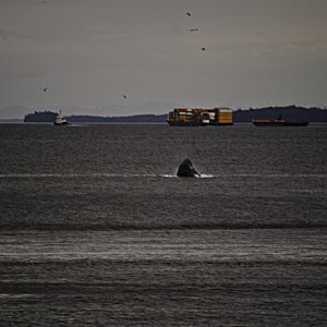 May202009_0197 as Smart Object-1.jpg