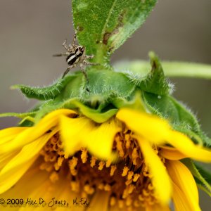 IMG_0315 - Version 3.jpg