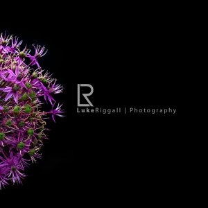 Colourful Circle Plant + Logo.jpg