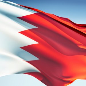Bahrain_flag_waving.jpg