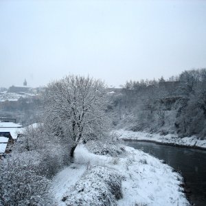 Frosty.jpg