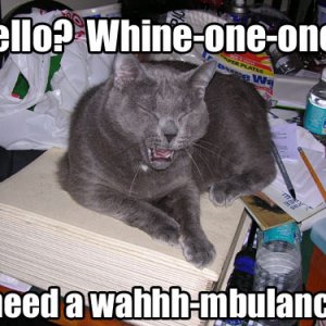 waahmbulance.jpg