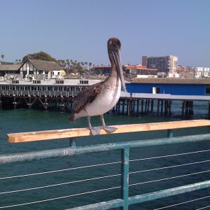 IMG_0014.JPG