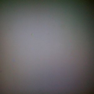 Screen Issue.jpg