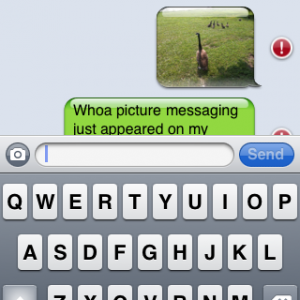 IMG_0664.PNG